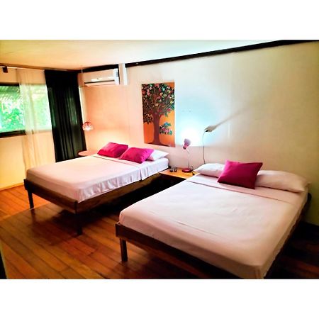 Cabinas Coconut Grove Puerto Viejo de Talamanca Kültér fotó